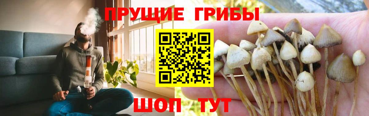 магазин    Псилоцибиновые грибы мухоморы  Вход с VPN  Реутов 